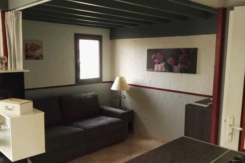 Studio Mezzanine En Residence Avec Piscine Au Village Le Barcarès Exterior foto